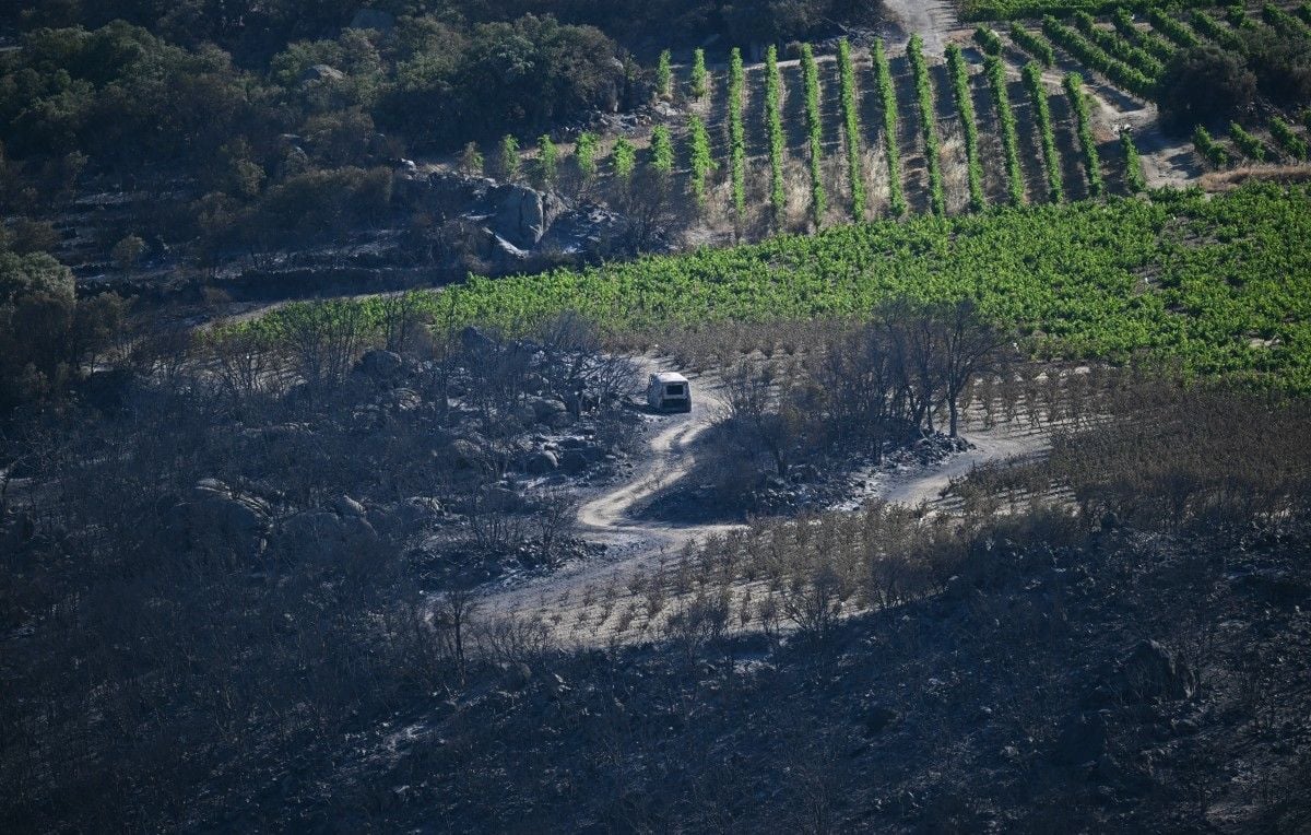 “Por su tamaño, ya estamos en un incendio extremo para el sur de Francia” “Por su tamaño, ya estamos en un incendio extremo para el sur de Francia”
